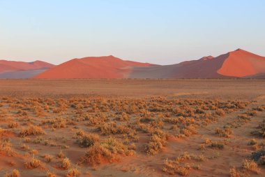 Namib-Naukluft Ulusal Parkı 'ndaki Namib Çölü' nün güney kesimindeki kum tepeleri. Güzel gün doğumu.