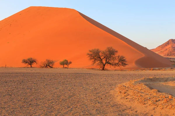 Dunas Parte Sul Deserto Namib Parque Nacional Namib Naukluft Namíbia — Fotografia de Stock