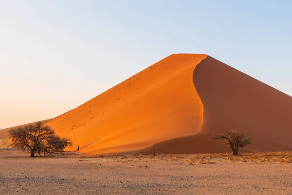 Wydmy Południowej Części Pustyni Namib Namibsko Naukluftowym Parku Narodowym Namibia — Zdjęcie stockowe