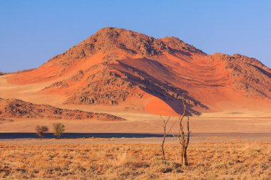 Namib-Naukluft Ulusal Parkı 'ndaki Namib Çölü' nün güney kesimindeki kum tepeleri. Güzel gün doğumu. Afrika bitkileri.