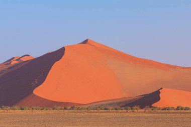 Namib-Naukluft Ulusal Parkı 'ndaki Namib Çölü' nün güney kesimindeki kum tepeleri. Güzel gün doğumu. Afrika bitkileri.