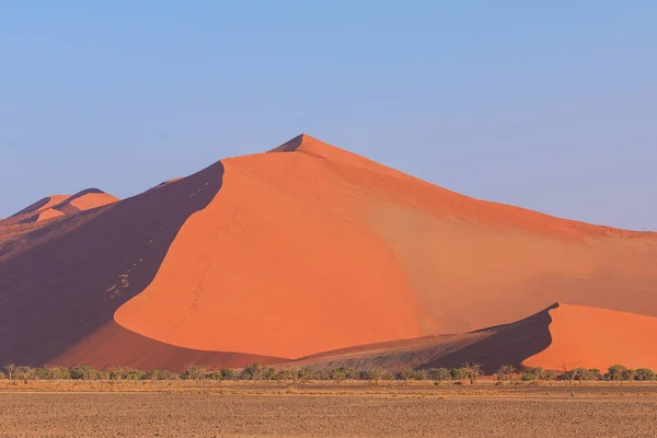 Dunes Déli Részén Namib Sivatag Namib Naukluft Nemzeti Park Namíbia — Stock Fotó