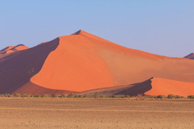 Namib-Naukluft Ulusal Parkı 'ndaki Namib Çölü' nün güney kesimindeki kum tepeleri. Güzel gün doğumu. Afrika bitkileri.