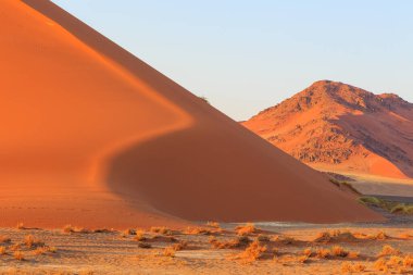 Namib-Naukluft Ulusal Parkı 'ndaki Namib Çölü' nün güney kesimindeki kum tepeleri. Güzel gün doğumu. Afrika bitkileri.