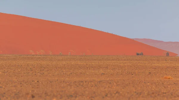 Dunes Dans Partie Sud Désert Namib Dans Parc National Namib — Photo