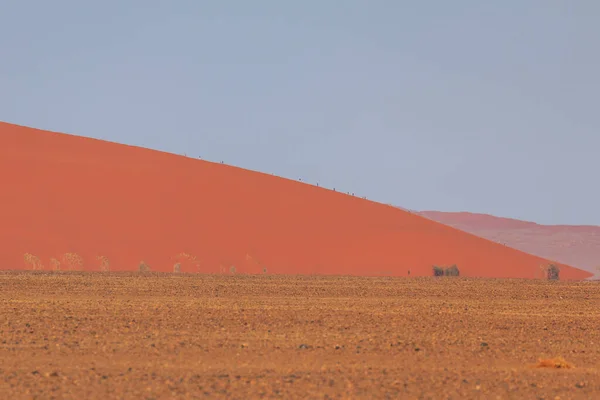 位于纳米比亚纳米布 瑙克罗夫特国家公园纳米布沙漠南部的沙丘 美丽的日出非洲植被 — 图库照片