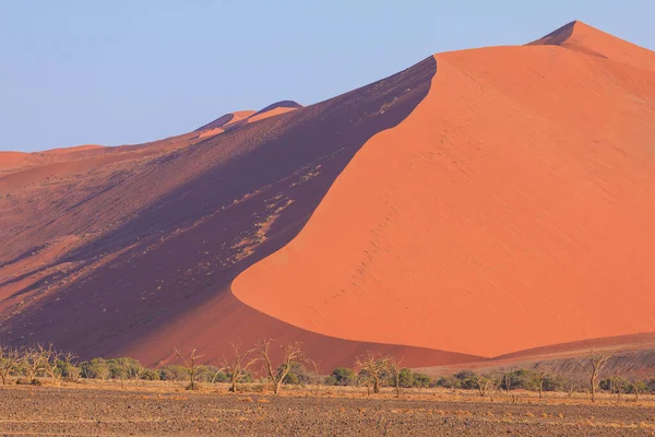 Duinen Het Zuidelijke Deel Van Namibische Woestijn Het Namib Naukluft — Stockfoto