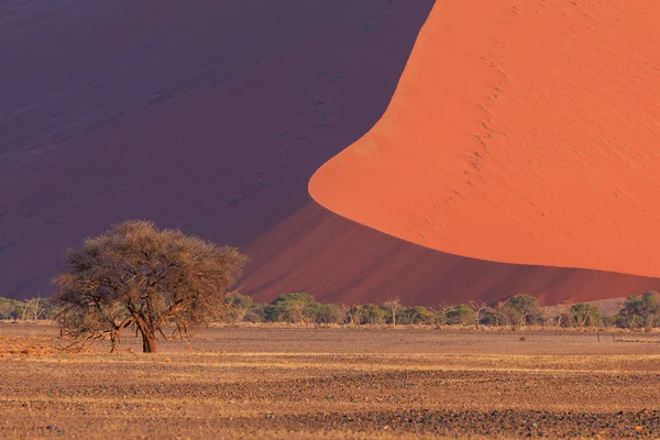 클루프 공원의 나미브 사막의 지역에 아름다운 아프리카 — 스톡 사진