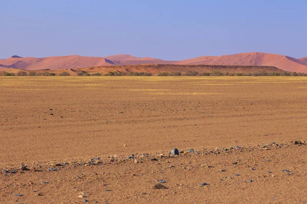 Dunes Southern Part Namib Desert Namib Naukluft National Park Namibia — Stock Photo, Image
