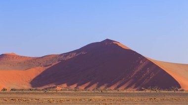 Namib-Naukluft Ulusal Parkı 'ndaki Namib Çölü' nün güney kesimindeki kum tepeleri. Güzel gün doğumu. Afrika bitkileri.