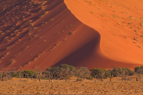 Duinen Het Zuidelijke Deel Van Namibische Woestijn Het Namib Naukluft — Stockfoto