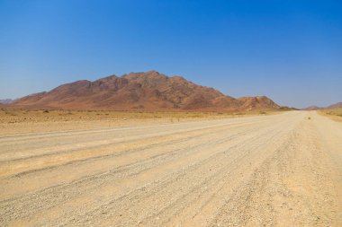 Çakıl yolu boyunca Namibya manzarası. Sarı bölge ve Afrika bitkileri. Sossusvlei, Namibya.