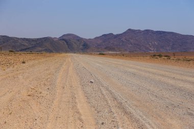 Çakıl yolu boyunca Namibya manzarası. Sarı bölge ve Afrika bitkileri. Sossusvlei, Namibya.