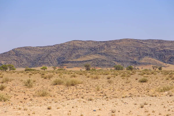 Namibische Landschaft Entlang Der Schotterstraße Gelber Boden Und Afrikanische Vegetation — Stockfoto