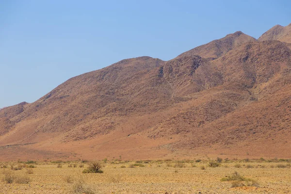 Paesaggio Namibiano Lungo Strada Sterrata Terra Gialla Vegetazione Africana Intorno — Foto Stock