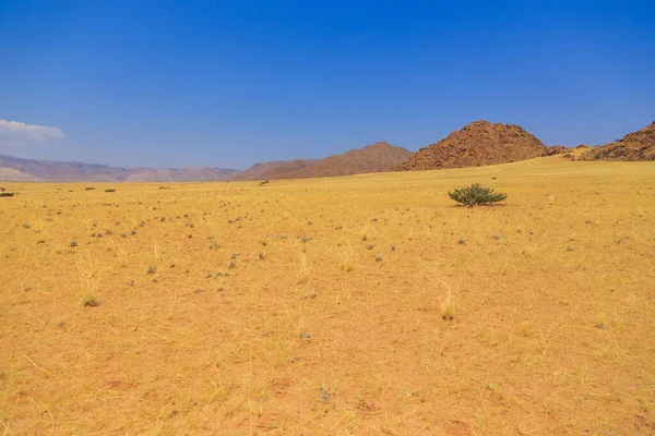 Namibische Landschaft Entlang Der Schotterstraße Gelber Boden Und Afrikanische Vegetation — Stockfoto