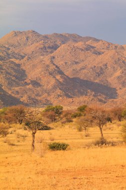 Namibya manzarası. Sıcak bir günde Afrika savanı. Kızıl zemin. Solitaire, Namibya.