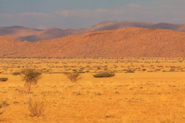 Namibya manzarası. Sıcak bir günde Afrika savanı. Kızıl zemin. Solitaire, Namibya.