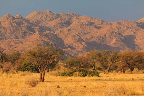 stock image Namibian landscape. African savannah during a hot day.Red ground. Solitaire, Namibia.