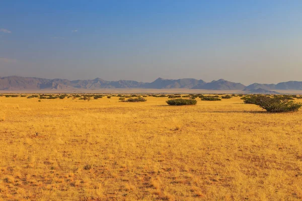 Paysage Namibien Savane Africaine Pendant Une Journée Chaude Terre Rouge — Photo