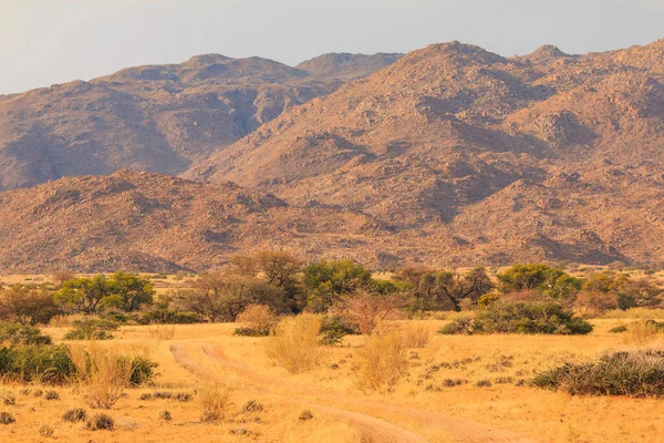 Paesaggio Namibiano Savana Africana Durante Una Giornata Caldo Terreno Rosso — Foto Stock