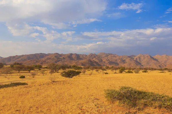 Paisaje Namibio Sabana Africana Durante Día Caluroso Tierra Roja Solitario — Foto de Stock