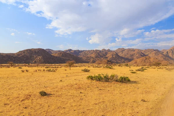Paesaggio Namibiano Savana Africana Durante Una Giornata Caldo Terreno Rosso — Foto Stock