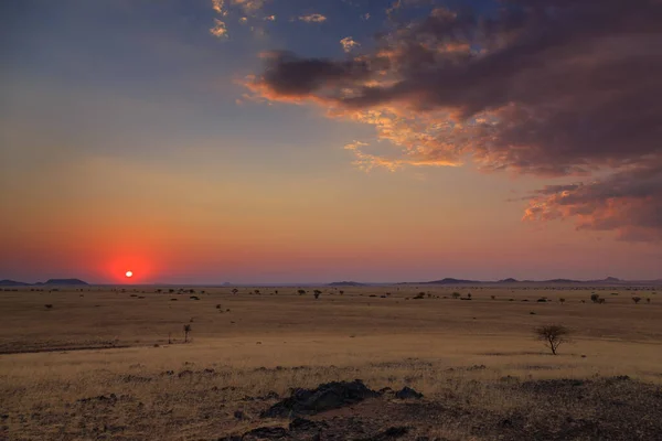 Zachód Słońca Nad Sawanną Afrykańska Roślinność Piękny Krajobraz Pasjans Namibia — Zdjęcie stockowe
