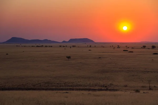 Pôr Sol Sobre Savana Vegetação Africana Bela Paisagem Solitário Namíbia — Fotografia de Stock