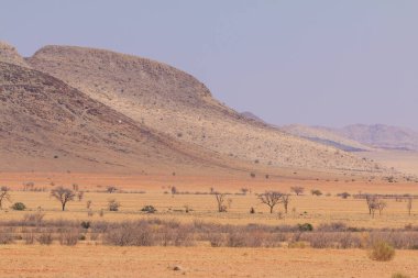 Namib Çölü manzarası. Namib Naukluft Ulusal Parkı. Afrika 'da macera ve keşif. Namibya.