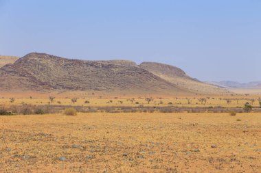 Namib Çölü manzarası. Namib Naukluft Ulusal Parkı. Afrika 'da macera ve keşif. Namibya.