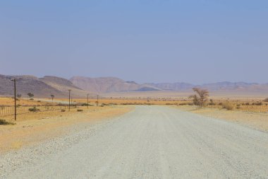 Namib Çölü manzarası. Namib Naukluft Ulusal Parkı. Afrika 'da macera ve keşif. Namibya.