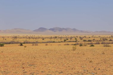Namib Çölü manzarası. Namib Naukluft Ulusal Parkı. Afrika 'da macera ve keşif. Namibya.