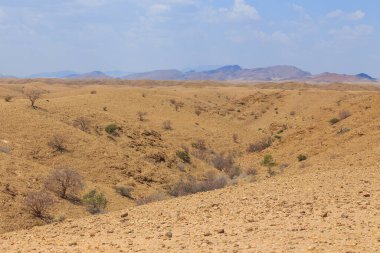 Namib Çölü manzarası. Namib Naukluft Ulusal Parkı. Afrika 'da macera ve keşif. Namibya.