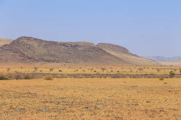 Blick Auf Die Wüste Namib Namib Naukluft National Park Abenteuer — Stockfoto