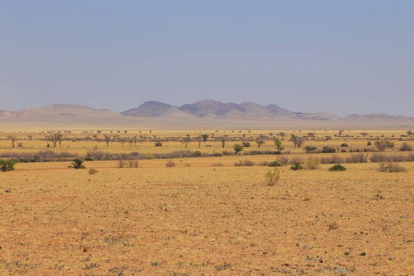 ナミビアの砂漠の眺め ナミブ ノークルフト国立公園 アフリカの冒険と探検 ナミビア — ストック写真