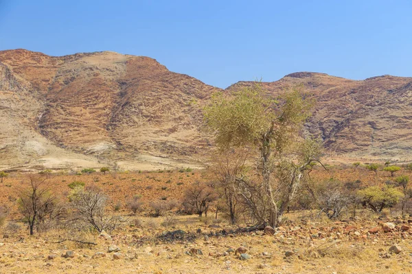 나미브 사막의 클리프트 아프리카 에서의 — 스톡 사진