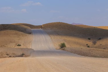 Çakıl yolu boyunca Namibya manzarası. Sarı bölge ve Afrika bitkileri. Namib-Naukluft Ulusal Parkı, Namibya.