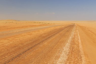 Çakıl yolu boyunca Namibya manzarası. Sarı bölge ve Afrika bitkileri. Namib-Naukluft Ulusal Parkı, Namibya.