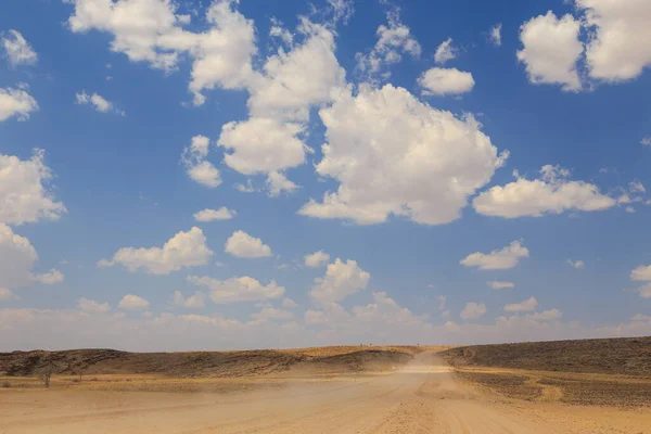 Namíbiai Táj Kavicsos Úton Sárga Föld Afrikai Növényzet Namib Naukluft — Stock Fotó