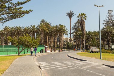 Swakopmund, Namibya - 03 Ekim 2018: Swakopmund 'da gezinti güvertesi. Egzotik bitki örtüsü.