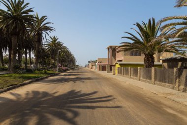 Swakopmund, Namibya - 03 Ekim 2018: Swakopmund 'da gezinti güvertesi. Egzotik bitki örtüsü.