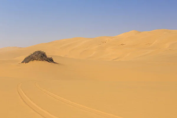 Северная Часть Пустыни Намиб Национальном Парке Намиб Науклуфт Намибии Пустыня — стоковое фото