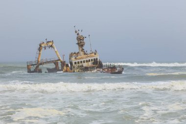 Namibya, Afrika, Swakopmund yakınlarındaki Skeleton Coast içinde sıkışmış Zeila geminin terkedilmiş gemi batığı, enkaz üzerinde oturan birçok karabatak ile.