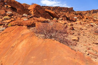Twyfelfontein, site of ancient rock engravings in the Kunene Region of north-western Namibia. Prehistoric Bushman engravings, rock painting.