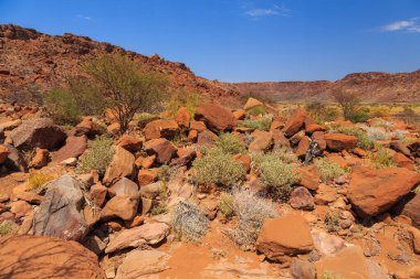Twyfelfontein, site of ancient rock engravings in the Kunene Region of north-western Namibia. Prehistoric Bushman engravings, rock painting.