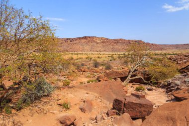 Twyfelfontein, site of ancient rock engravings in the Kunene Region of north-western Namibia. Prehistoric Bushman engravings, rock painting.