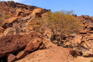 Twyfelfontein, site of ancient rock engravings in the Kunene Region of north-western Namibia. Prehistoric Bushman engravings, rock painting.