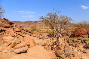 Twyfelfontein, site of ancient rock engravings in the Kunene Region of north-western Namibia. Prehistoric Bushman engravings, rock painting.