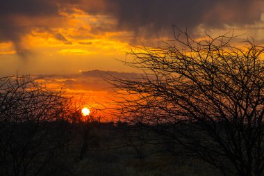 Sunrise over the Etosha National Park in Namibia. African landscape. South Africa.